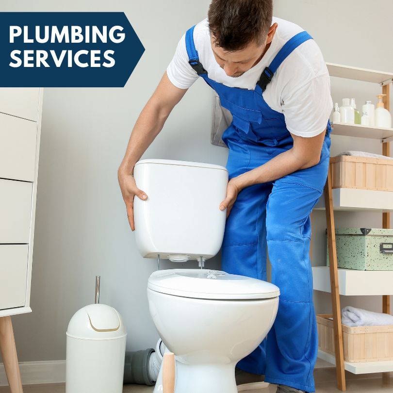 Plumbing Company in Seffner, FL